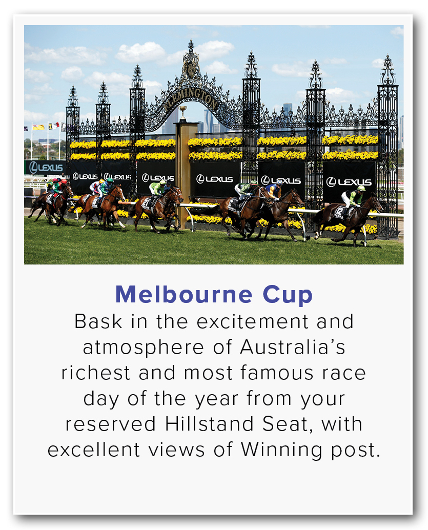 MelbCup2023_highlights6