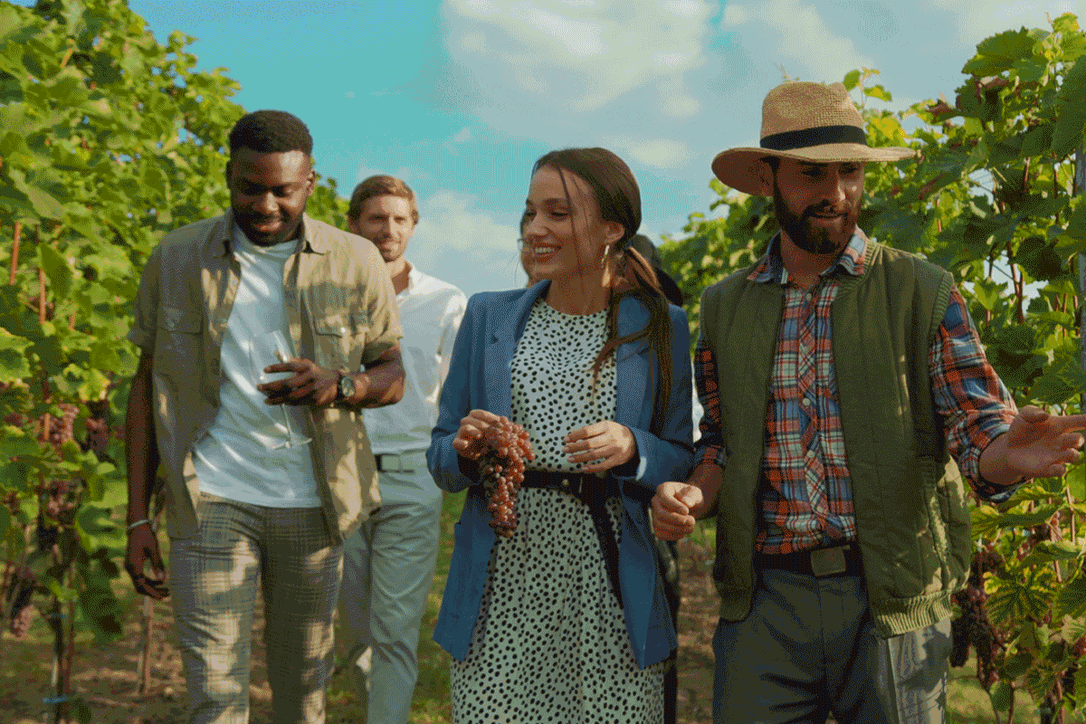 1728435900939_Solo-Offers-HEro