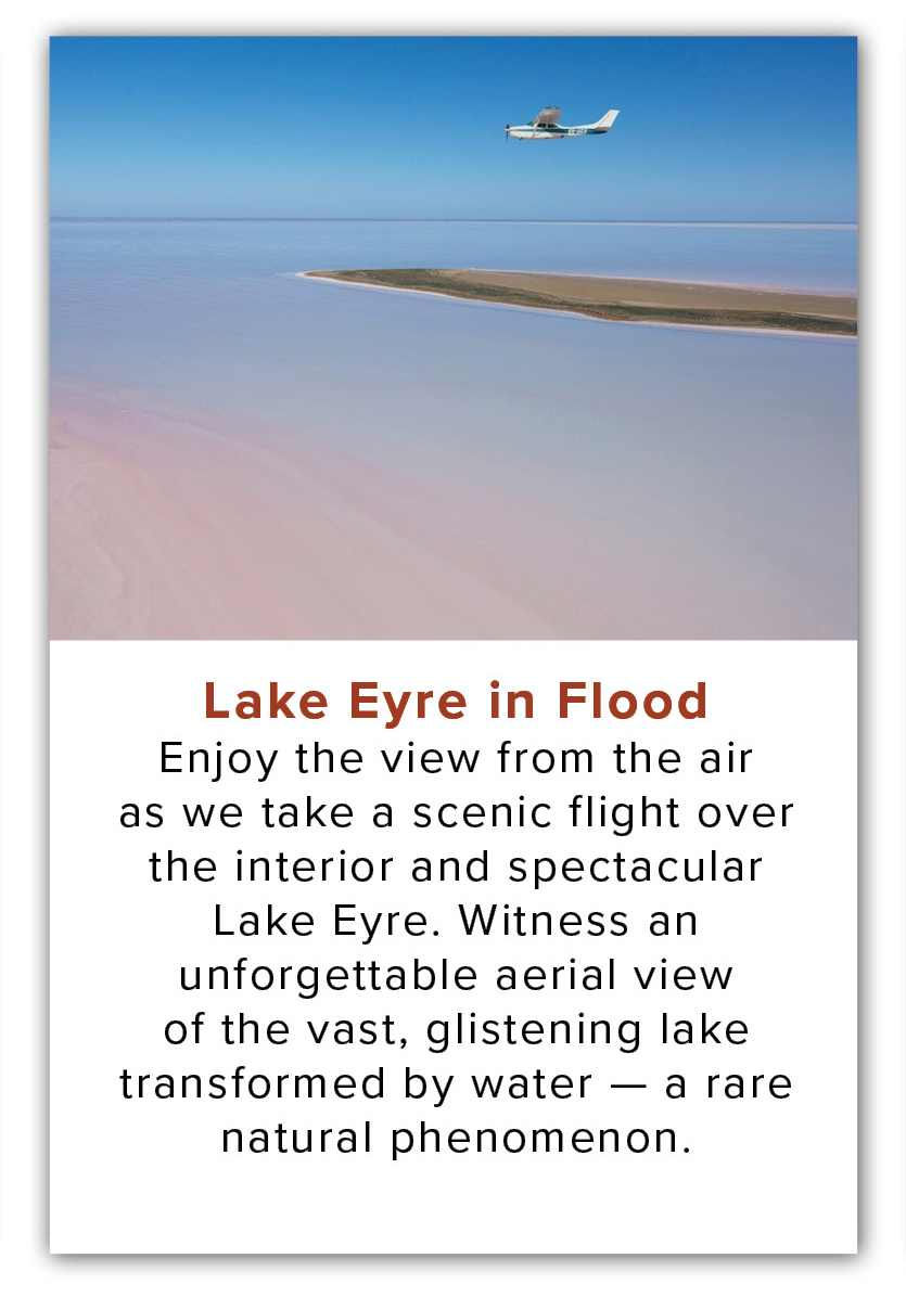 LakeEyreAug25_highlights5