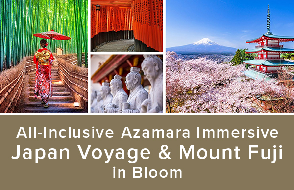 ZT_IC_AzamaraJapanMountFuji-packageimage