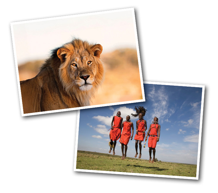 AfricaSAfari_image