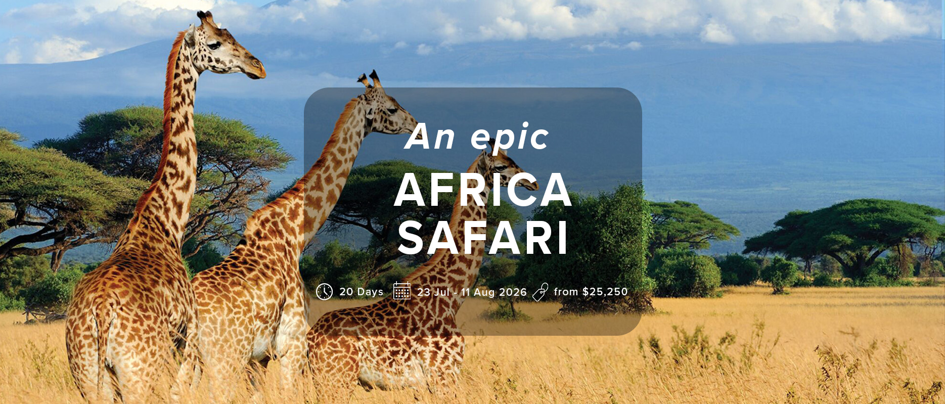 AfricaSafari_header