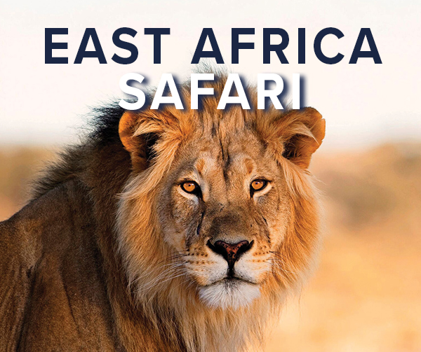 East Africa Safari