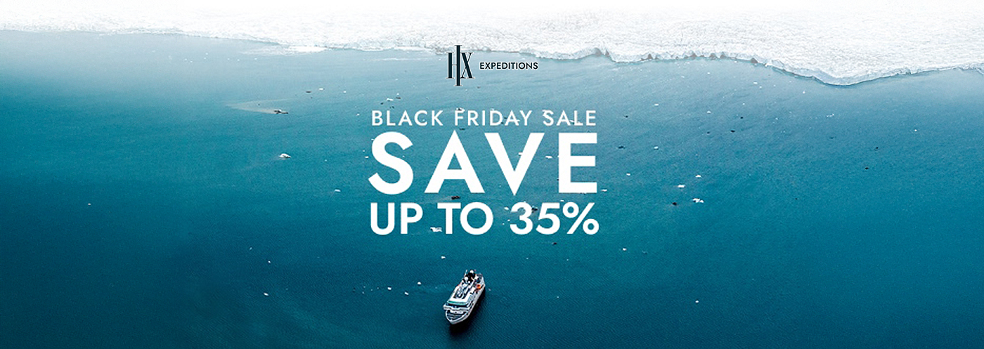 Red White Classic Black Friday Promo Banner – 1