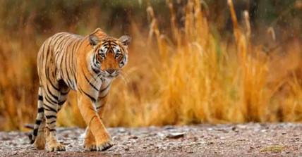 Screenshot 2025-11-26 at 11-33-59 Black Friday Travel Sale 2025 Best Fully Inclusive Deals