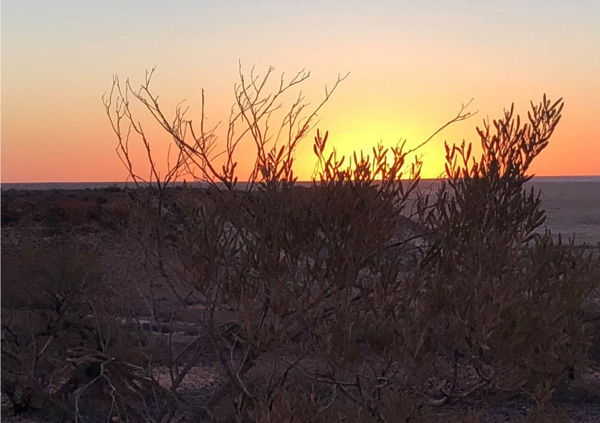 LakeEyreAirCruise gallery13