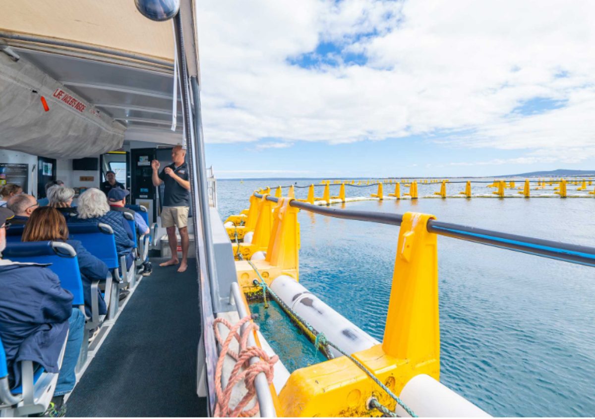 LakeEyreAirCruise gallery6