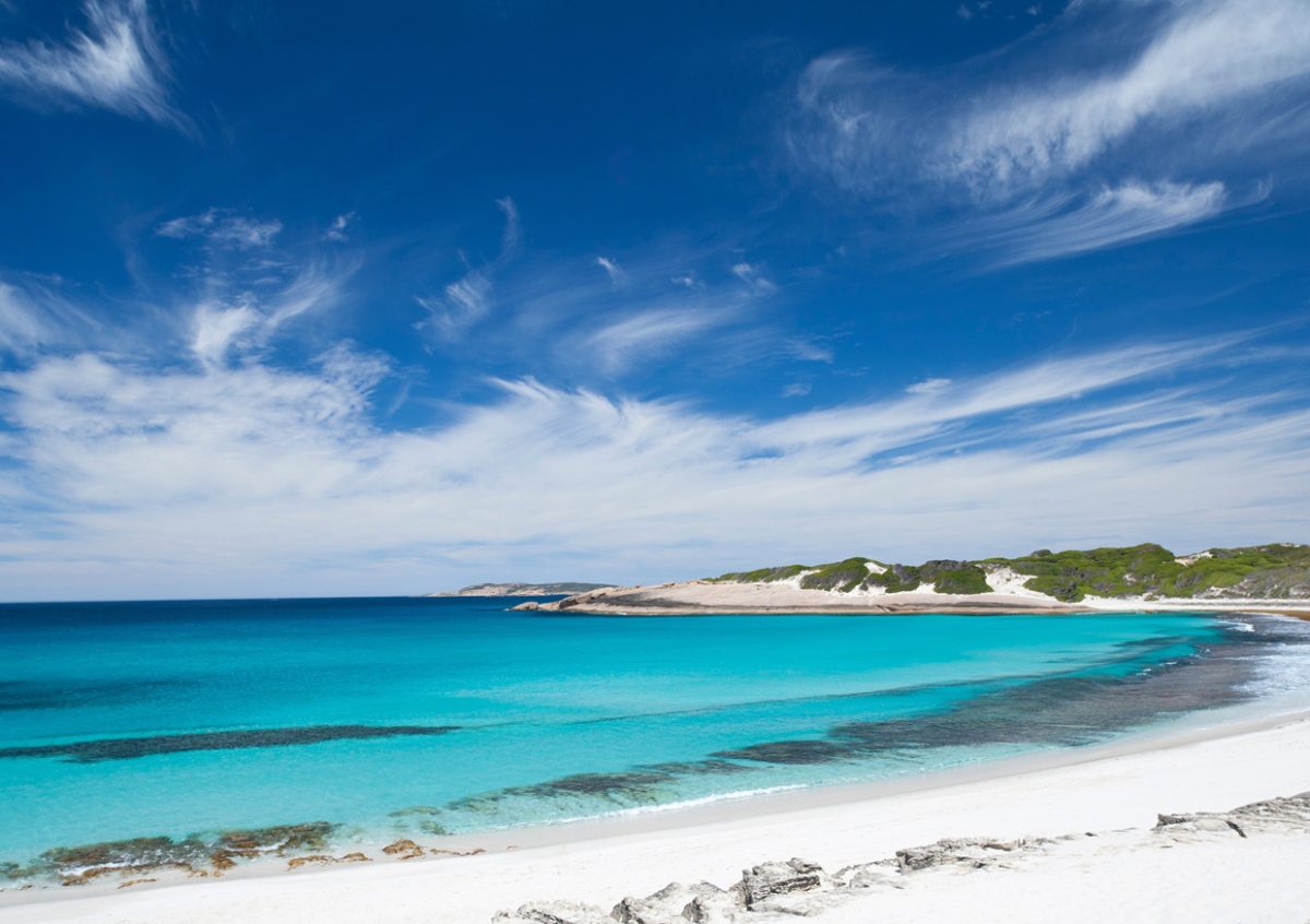 WAAirCruise gallery11