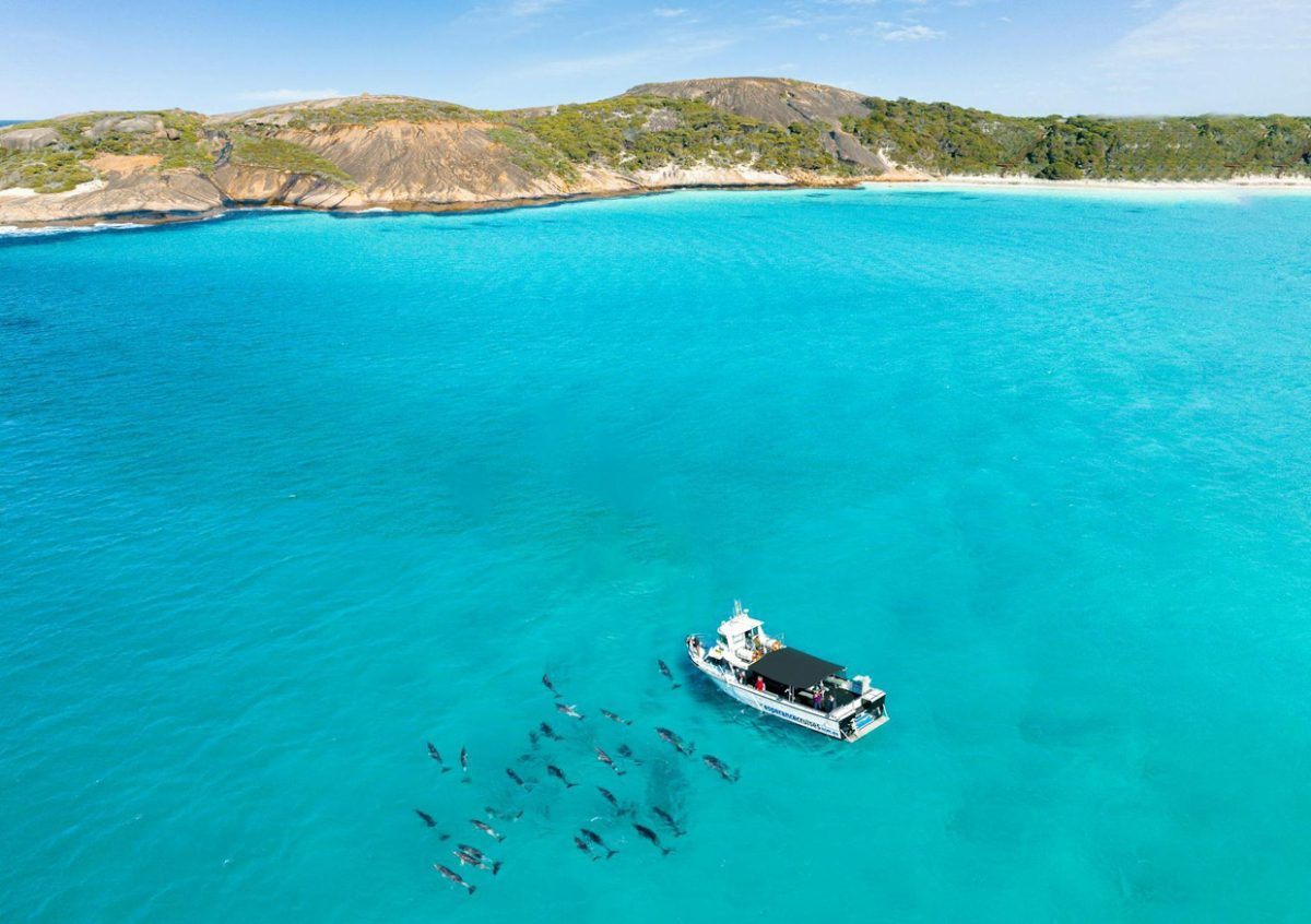 WAAirCruise gallery12