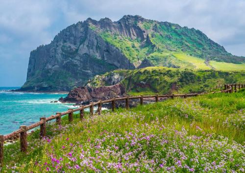 ChaineCrystal_gallery9