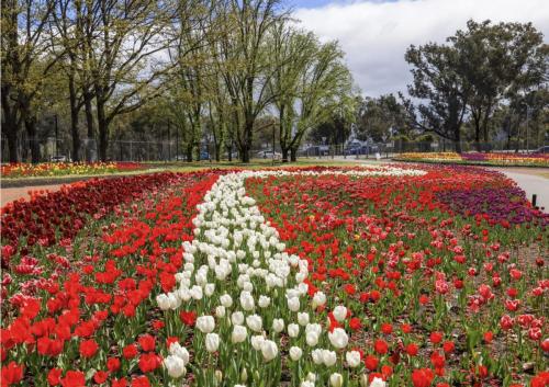 Floriade_gallery3
