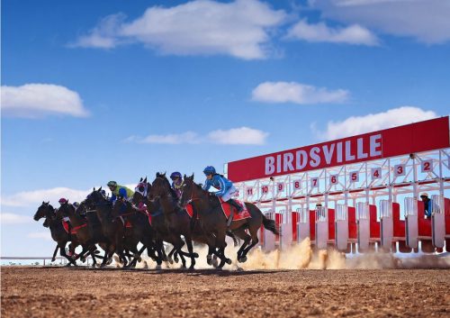 BirdsvilleRaces26 gallery3