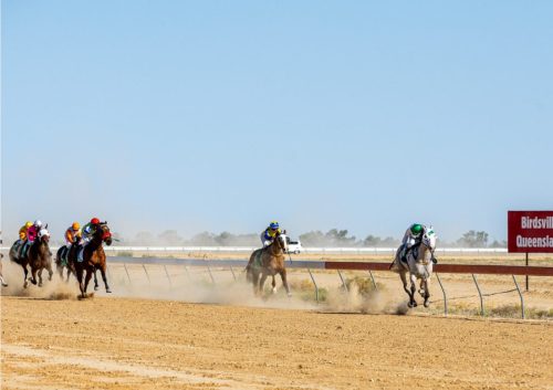 BirdsvilleRaces26 gallery6