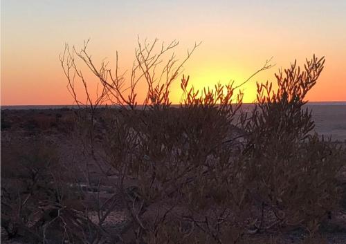 LakeEyreAug2025 gallery7