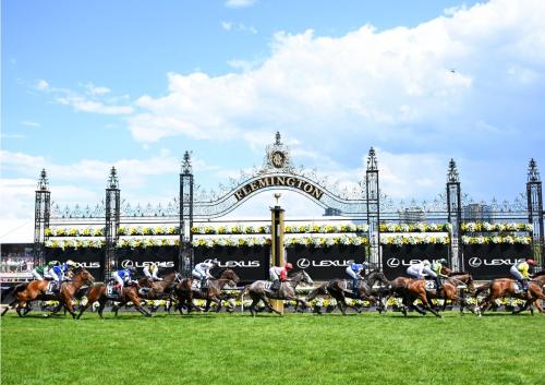 MelbCup2024 gallery