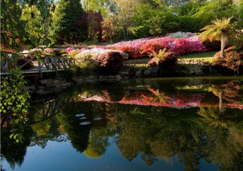 MelbCup2024 gallery4