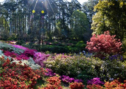 MelbCup2024 gallery6