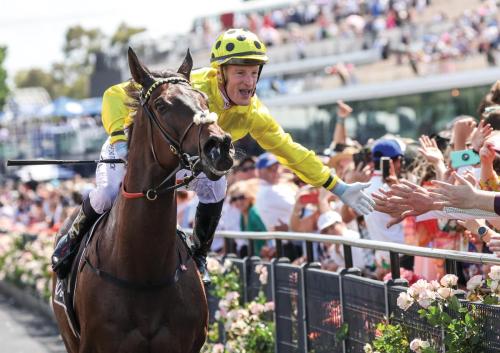 MelbCup2024 gallery7