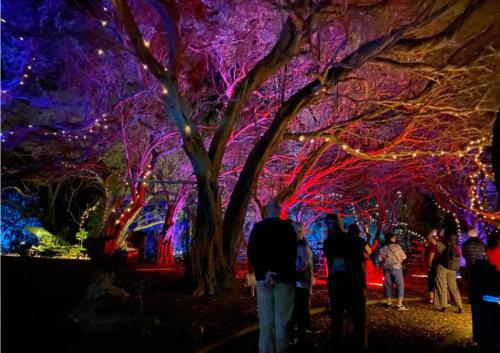 NorfolkBountyWeek gallery11