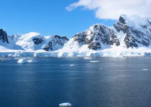 SouthAmericaAntarctica gallery12