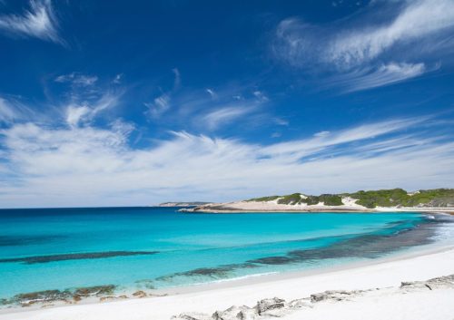 WAAirCruise gallery11