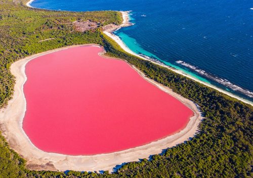 WAAirCruise gallery14