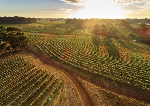 WAAirCruise gallery5